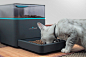Pintofeed智能喂食器，照顾宠物更便捷 | 理想生活实验室