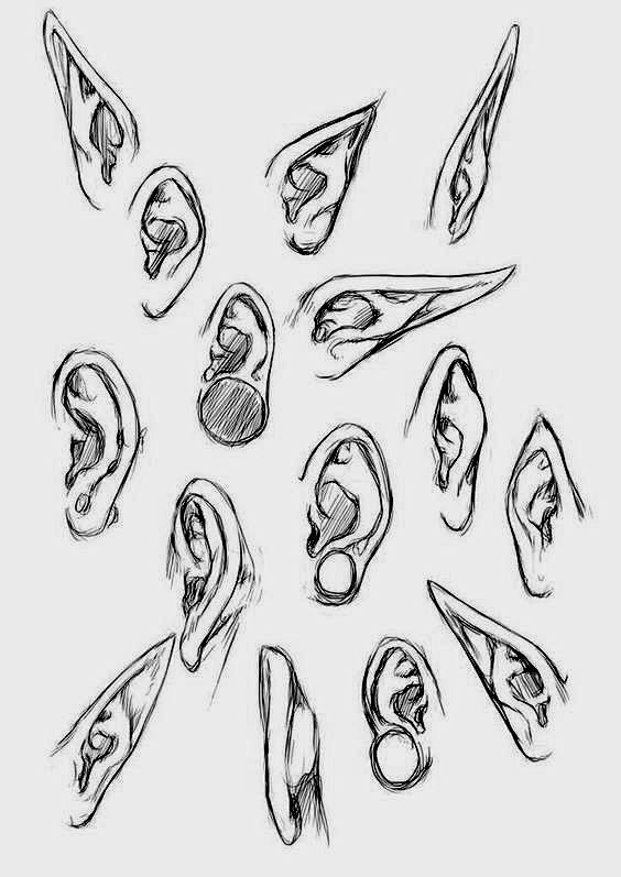 耳朵 (2)