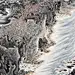 【国画】陈幼华《轻舟已过万重山》系列 - 白石秋水 - 白石秋水