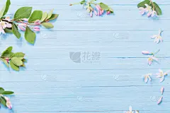 灌木,木制,粉色,枝,背景,美,贺卡,边框,水平画幅,无人