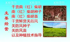名片反  - 源文件下载【酷图网】关防,风苗,种植,技术指导,设计