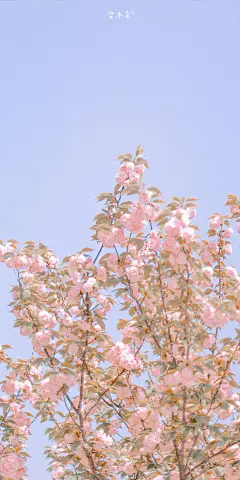 @梁木辛_ 的个人主页 - 微博