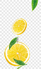 柠檬片和茶叶漂浮元素PNG图片➤来自 PNG搜索网 pngss.com 免费免扣png素材下载！