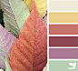 { leaf tones } image via: @designseeds