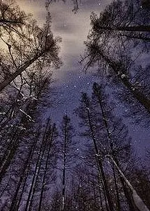 壁纸 高清 背景 素材 