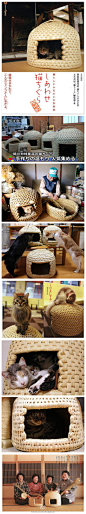 【稻草猫屋】最近相当有人气，日本媒体也有报道，制作这个猫屋的生产地在关川村。制作一个需要一周的时间，100%手工制成，材质非常透气，冬暖夏凉，相信你的爱猫呆在里面就不想出来呢。里面可以容纳两只猫猫，价格从5000-18000日元不等。 【via@FindJapan，@洪素爱 推荐】