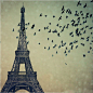 爱尚♥、埃菲尔铁塔、巴黎、Paris、杂图