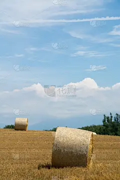 北海道,小麦,垂直画幅,天空,贺卡,留白,云,山,消息,无人