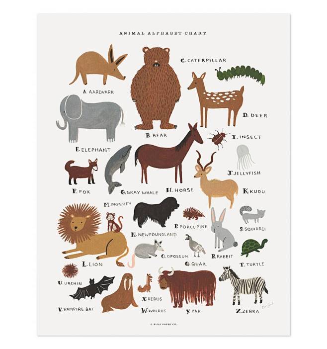 Animal Alphabet Char...