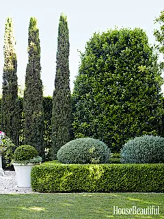【景观绿篱植物设计图集下载】绿墙模纹花坛/法式园林花园/植物树木修剪迷宫