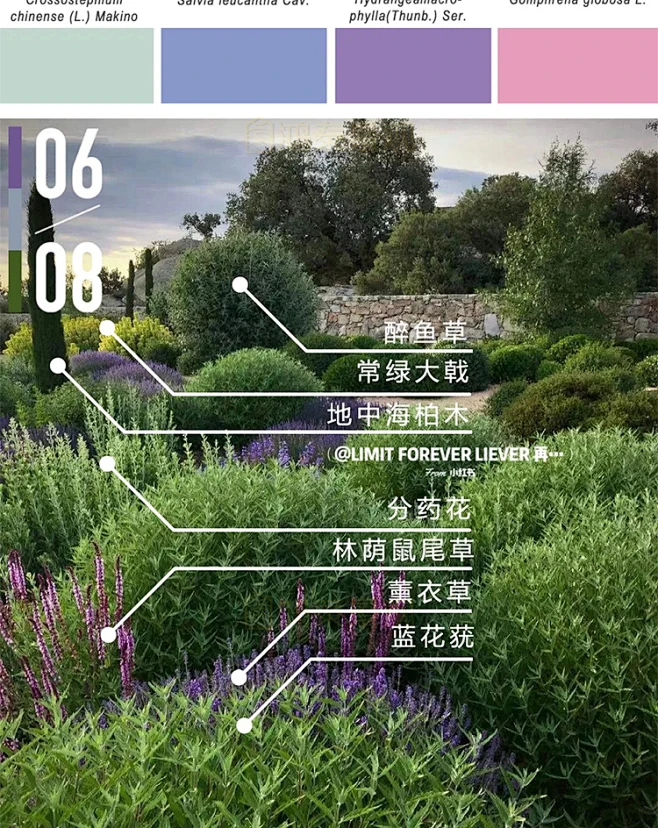 2022花境植物组团配置带名称园林景观铺装材料植物配置方案实景图-淘宝网-花瓣网