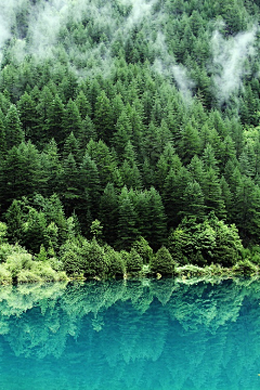 👄露露露露露采集到风景