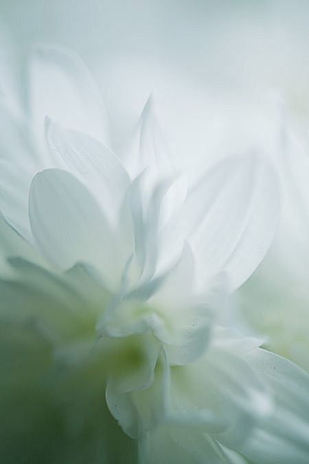 (657) Pinterest