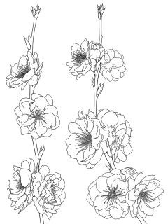 方妖呐～采集到桃