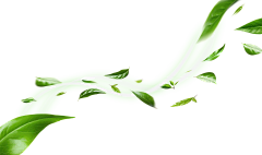 高木杉采集到可用素材