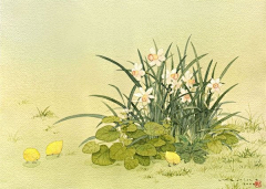 6DKq01YX采集到Kanazawa Mariko 日本插画师