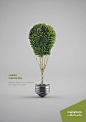 Capital Bank Green Financing Campaign : Green Financing Thematic Campaign