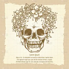 玫瑰,草图,颅骨,花环,白色,鸡尾酒,白昼,图像,复古,装饰