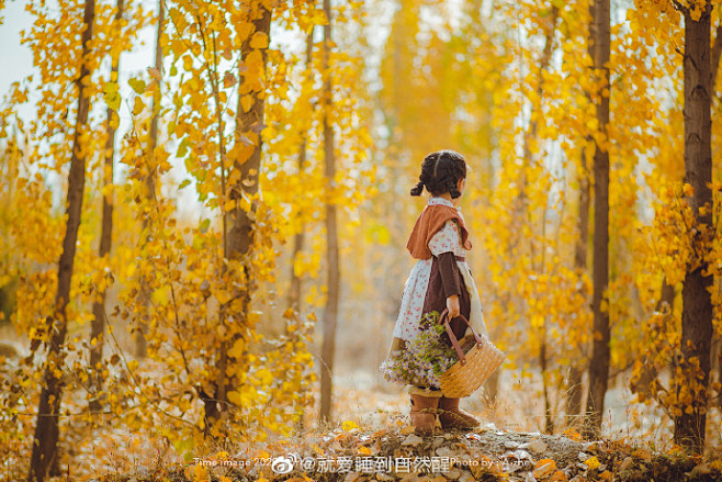 秋日物语
秋天里，阳光，树叶，小草，一切...