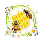 蜂蜜 (8)
