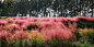 随风而去 [http://723975622.qzone.qq.com]