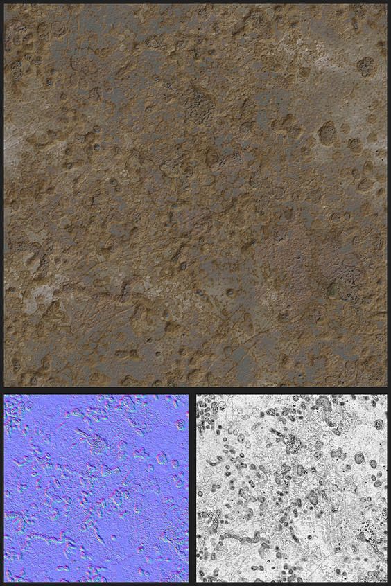 Texture and Shader: 