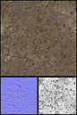 Texture and Shader: 