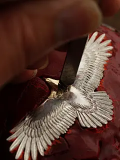 偶屿15年，一只鹰的坚守