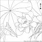 经典白描资料，精彩呀，快收藏吧！！！！！