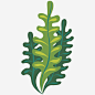 水彩海草插画矢量图免抠素材_元小素 https://iipng.com 植物 水彩海草矢量插画 海洋植物 海草 海藻 绿叶 绿色 装饰 矢量图