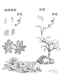 清翎er采集到景观手绘