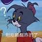 汤姆猫表情包 ​​​​
