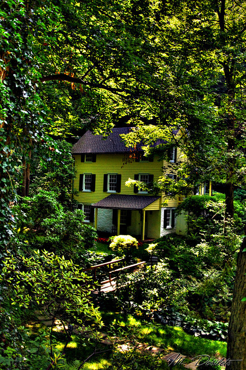 隐藏的森林之家，佛蒙特州伯灵顿，美国