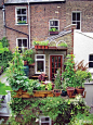 绿植_阳台_100种在阳台上搭建的绿植小花园