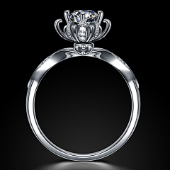 Ring_123采集到产品精修