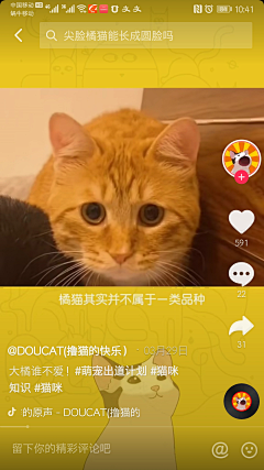 8DgjJELe采集到猫咪