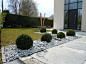 CONTEMPORAIN 22