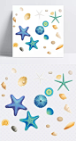 手绘海星贝壳元素|png,贝壳,海螺,海星,卡通,免抠,手绘,素材