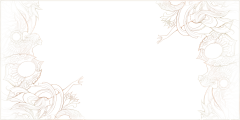feayer蓟花采集到素材