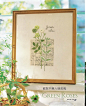 青木和子的唯美刺绣：玫瑰花园：精彩插图（13） 在线阅读-时尚休闲 -京东读书