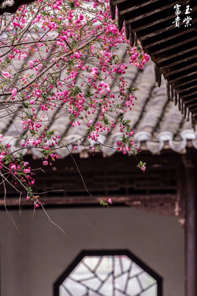 愛惜芳心莫輕吐，且教桃李鬧春風。 ​​​...