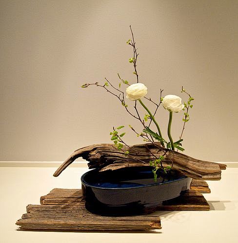 【绿植】Ikebana Sogetsu ...