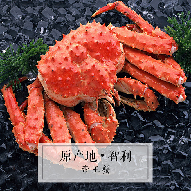 帝王蟹