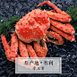 帝王蟹
