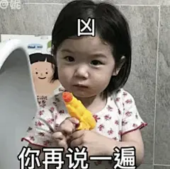 金雪表情包 你再说一遍 凶
