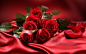一束鮮花，紅玫瑰，愛情，情人節 壁紙 - 1920x1200
