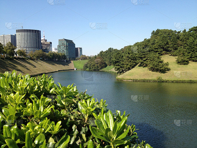 东京的公园，夏天