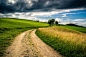 Photograph three trees in a simple landscape by Christoph Schöter on 500px