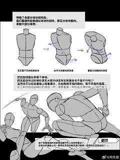 -AF-采集到人体 褶皱 动态 速写