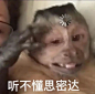 奇奇怪怪阴阳怪气表情包 - 小红书